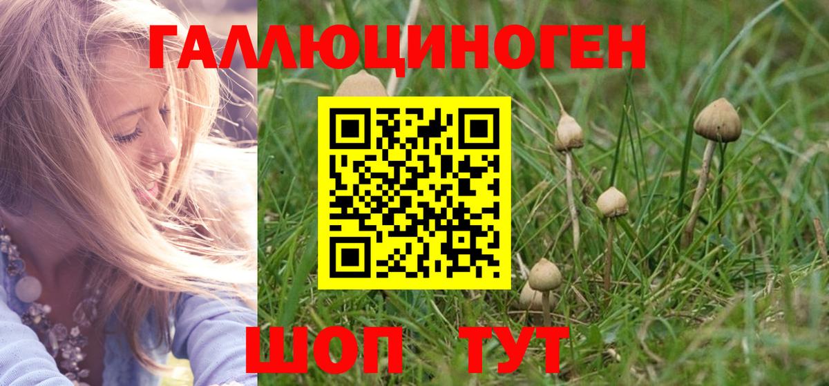 Галлюциногенные грибы MAGIC MUSHROOMS Отрадный