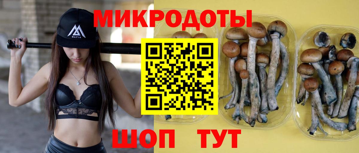 Отрадный  что такое наркотик  Вход с VPN  Псилоцибиновые грибы Psilocybe 