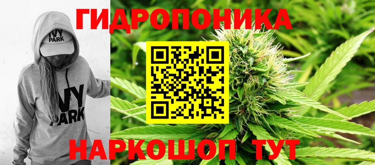 Каннабис индика Отрадный